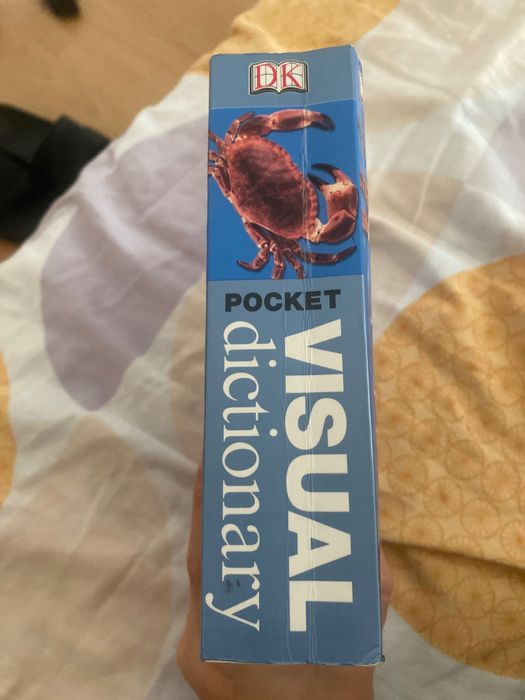 Pocket Visual Dictionary