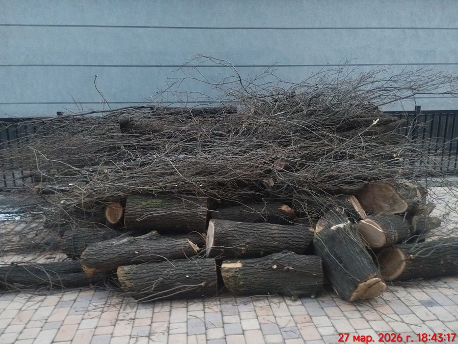 Yogoch sotiladi , yahshi