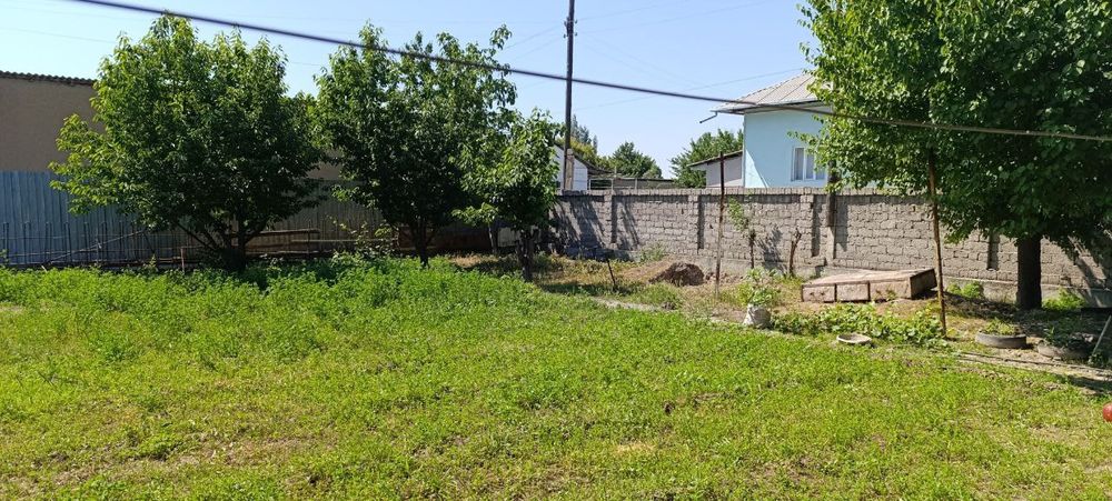 Yangiyoʻl tumanida 5 soʻtix yer maydoni