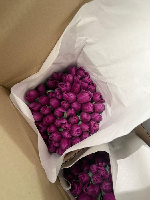 Продаю тюльпаны свежие по 700