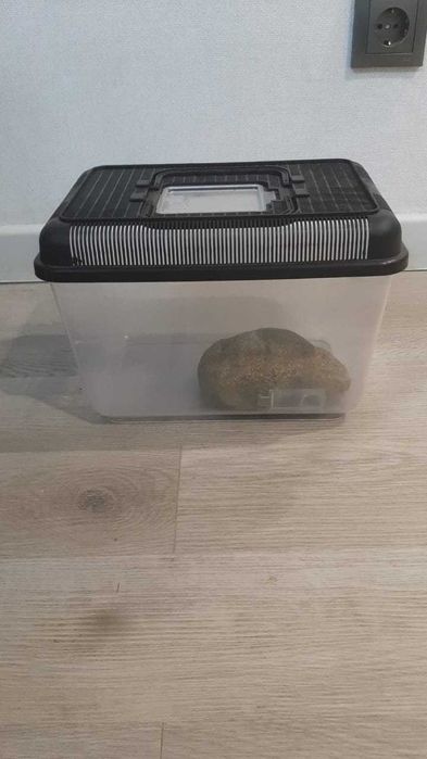 клетка для птиц,