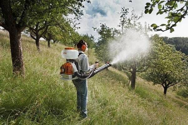 Спил подрезка деревьев обработка опрыскивание