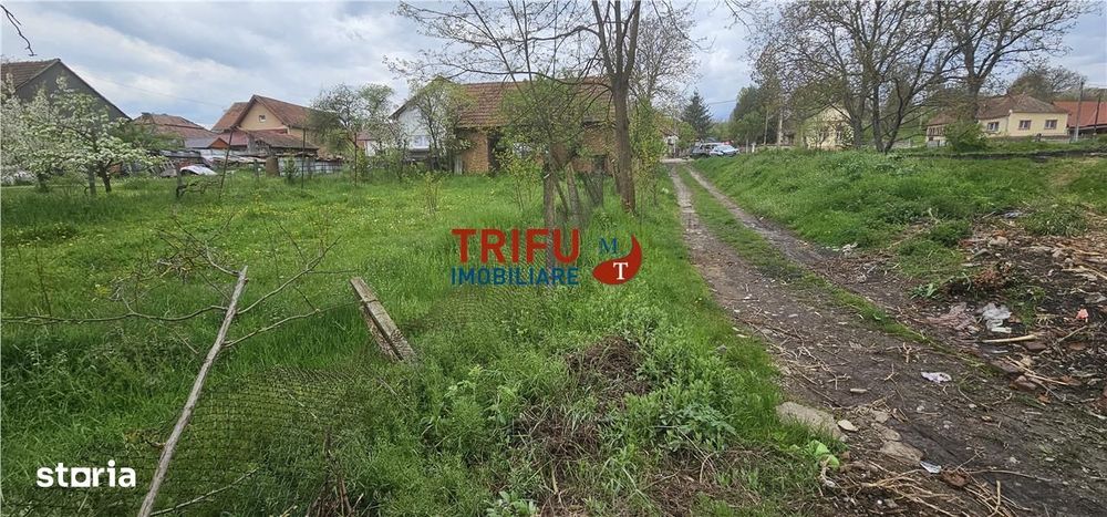 Casă veche + teren 3100 mp | Galda de Jos | Acces râu