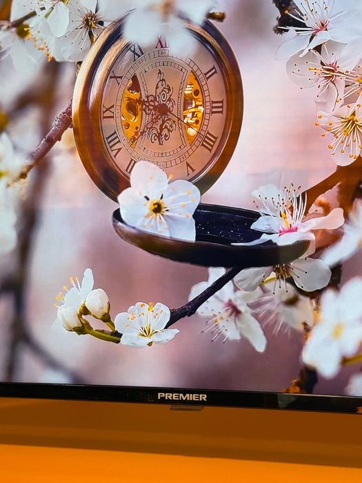 Телевизор Premier