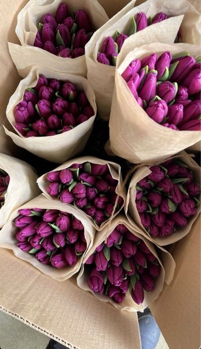 Тюльпаны корпаратив | Алматы | 600 тг