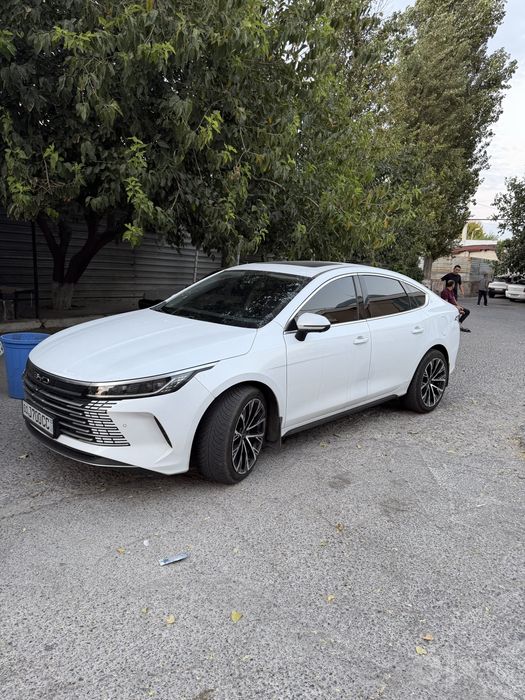 Byd chazor 2023 kraska eshida