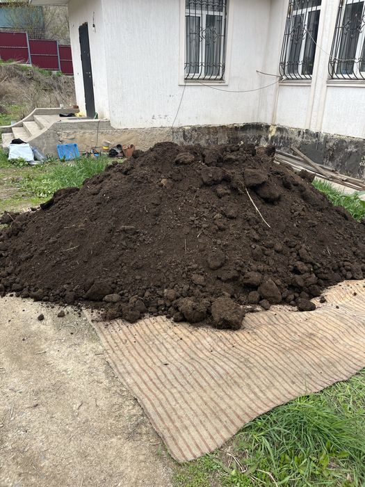 Перегной (навоз)