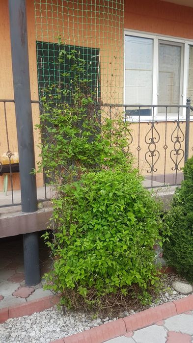 Продается дом в казцике