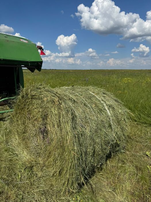 Самое дешевое сено в рулонах