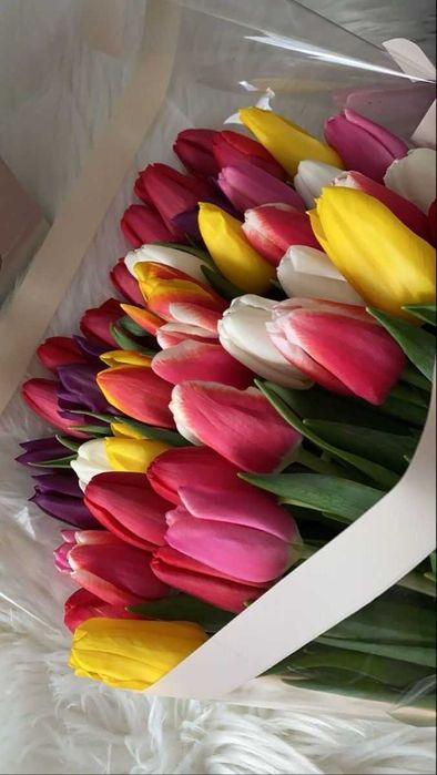 Оптом Тюльпаны и