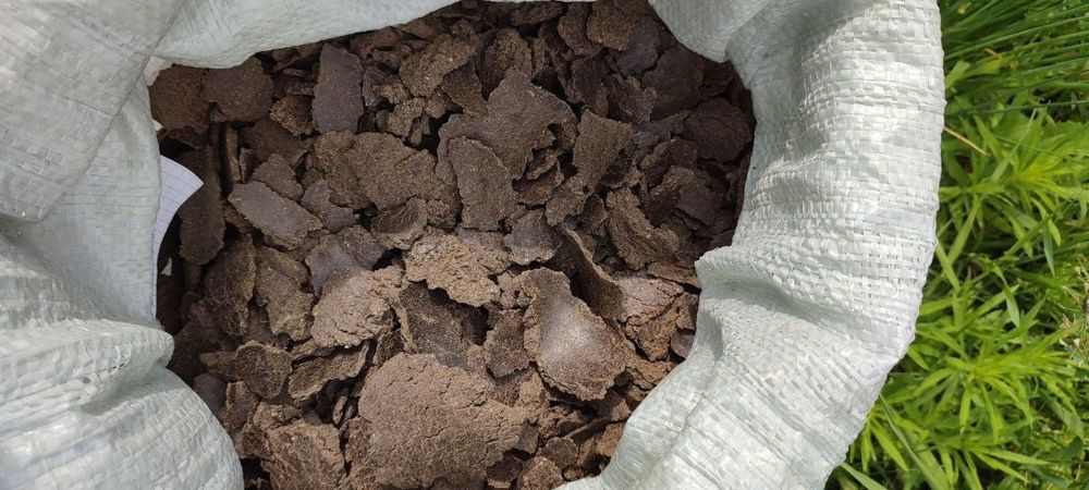 Ячмень.Платный чат!Все корма .