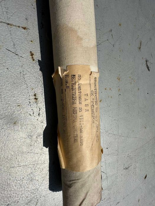 Соц Анатомични Медицински Учебни Плакати