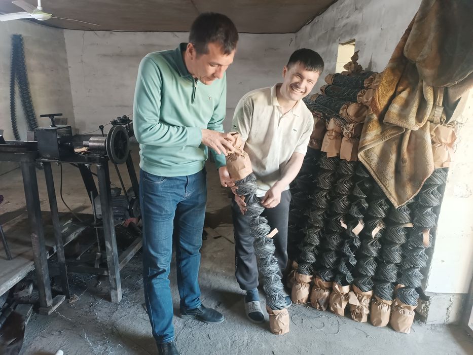 Sim setka nurli pangat