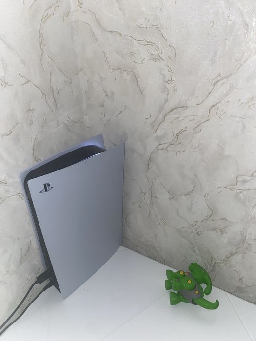 плестейшон 5 с моей горантией