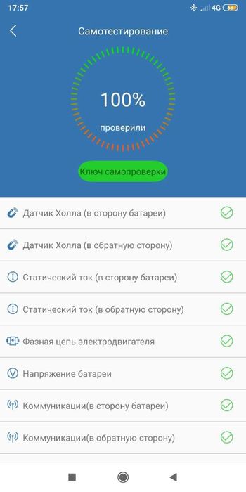 Гироскутер Сигвей Рабочий.