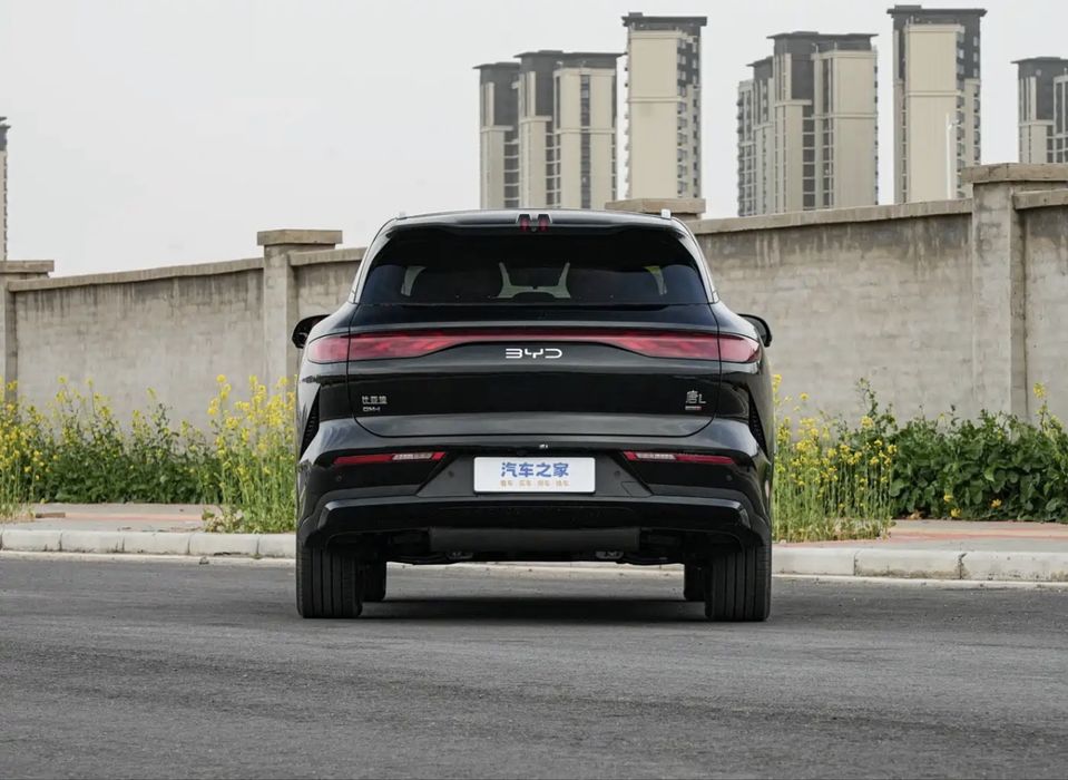 BYD tang L ev and DM-i
