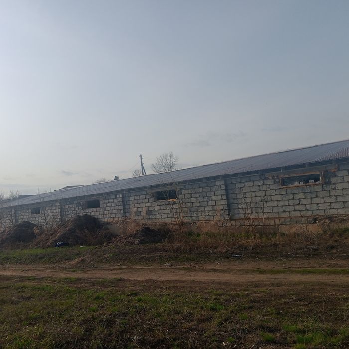 Продам базу для откорма скота