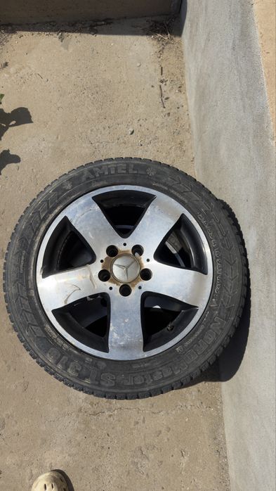 Диска шинасымен