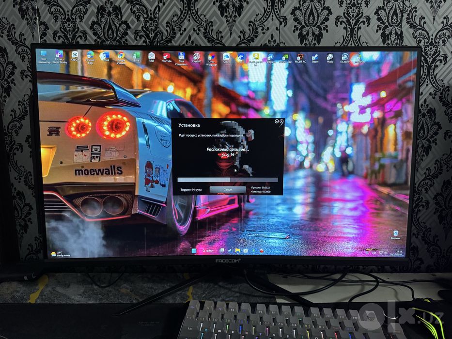 Facecom monitor 165 hz