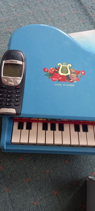 Pian copii stare buna