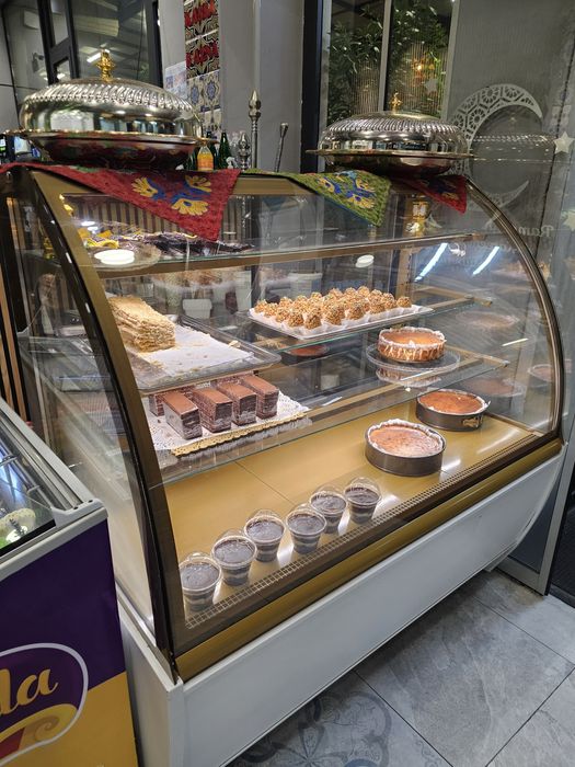 Xoladelnik ukrainiski vitrina 220v zavod