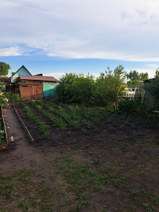 Продам дачу с/т Черёмушки. Новопавловка