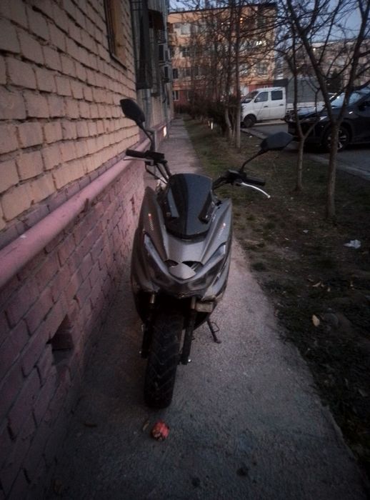 Skuter tiger sotiladi