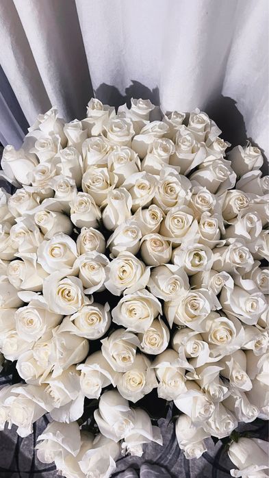 Белый роза 101 шт