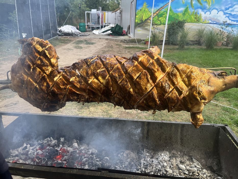 Protap si Preparate Traditionale Craiova • OLX.ro