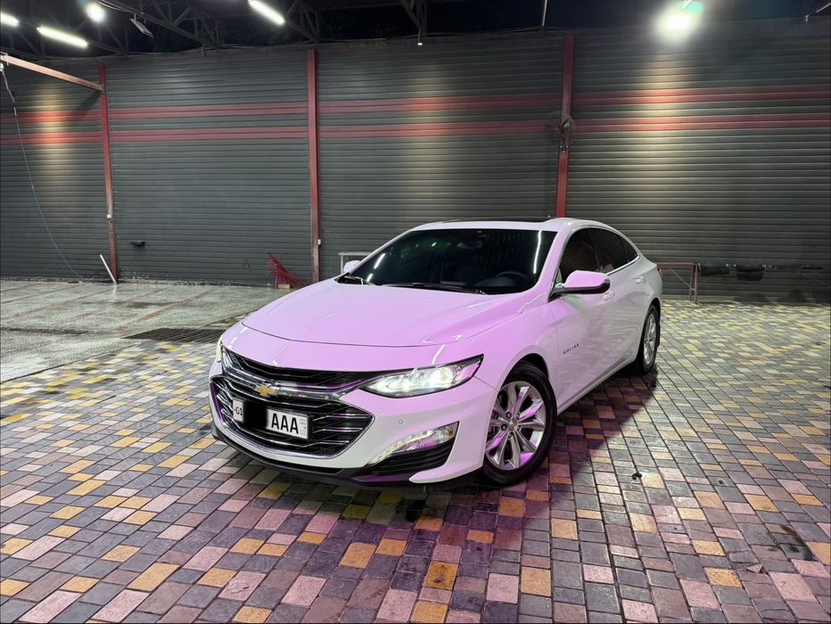 Malibu primer 2021