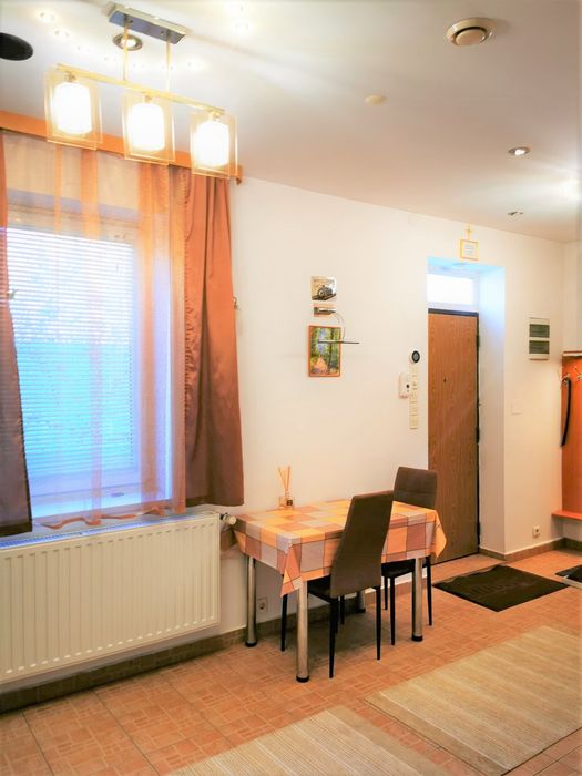 Nice apartament cu o camera in Sagului închiriat direct de proprietar t — fotografia 3