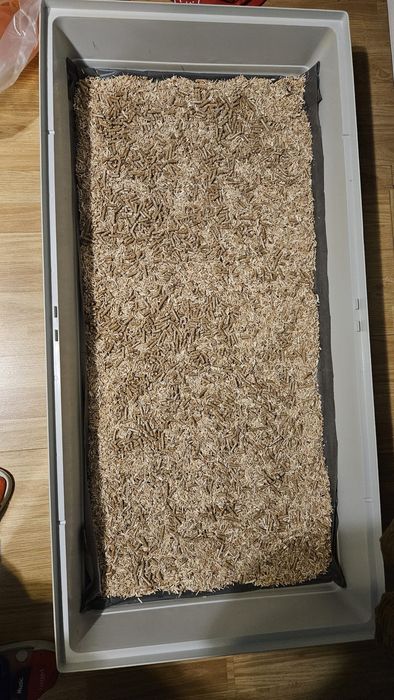 Vând cusca rozătoare 120×60 cm