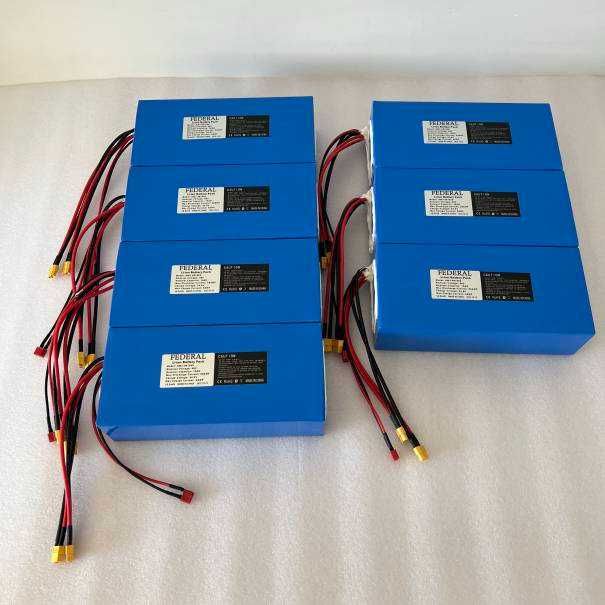 acumulator scuter electric Baterie trotineta 48v 12Ah detasabil