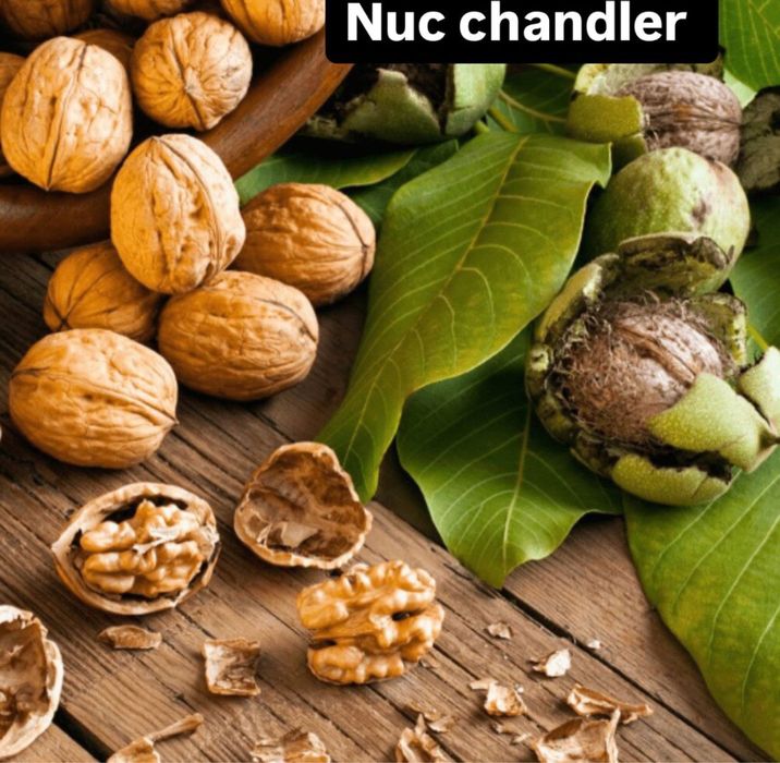 Nuc Altoit De vanzare