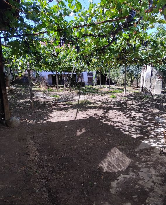 Продава две къщи в с.Слокощица общ.Кюстендил