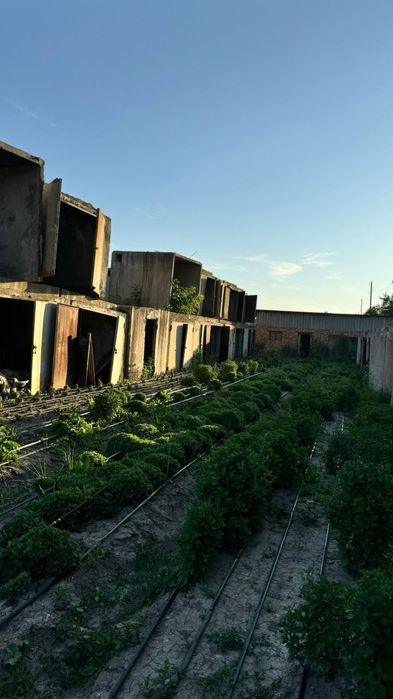 Гаражный блок. С воротами.