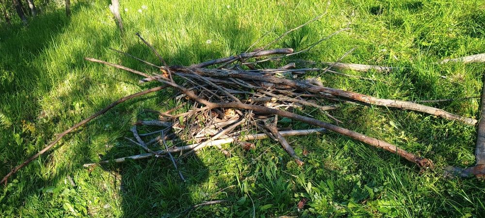 Lemne pentru foc, deja tăiate (aproximativ 50Kg)
