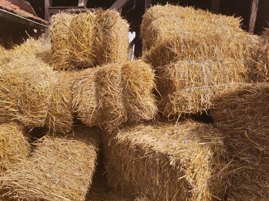 Малки Бали - СЛАМА Просо