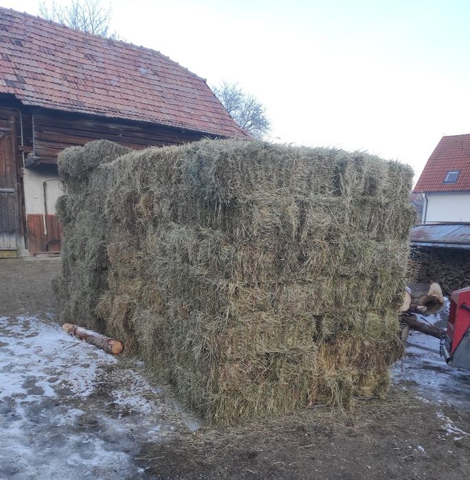 Baloti otavă / fan de grădină