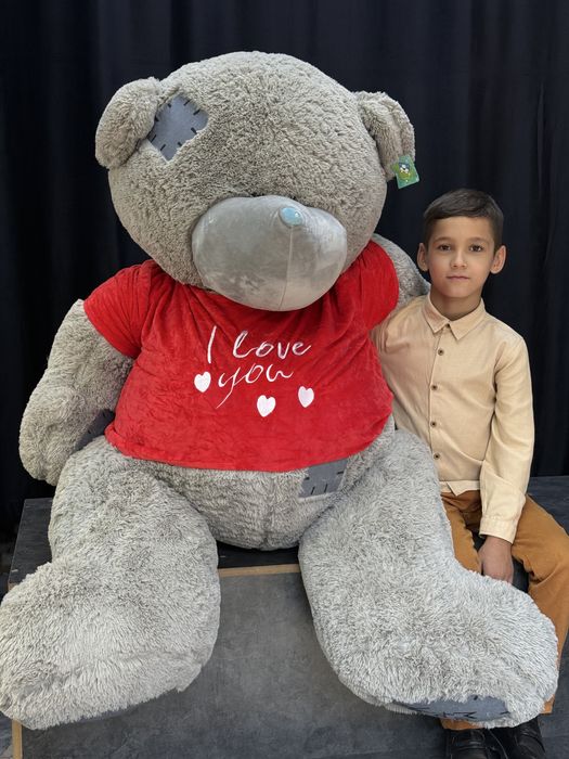 Teddy teddi sifatli va arzon