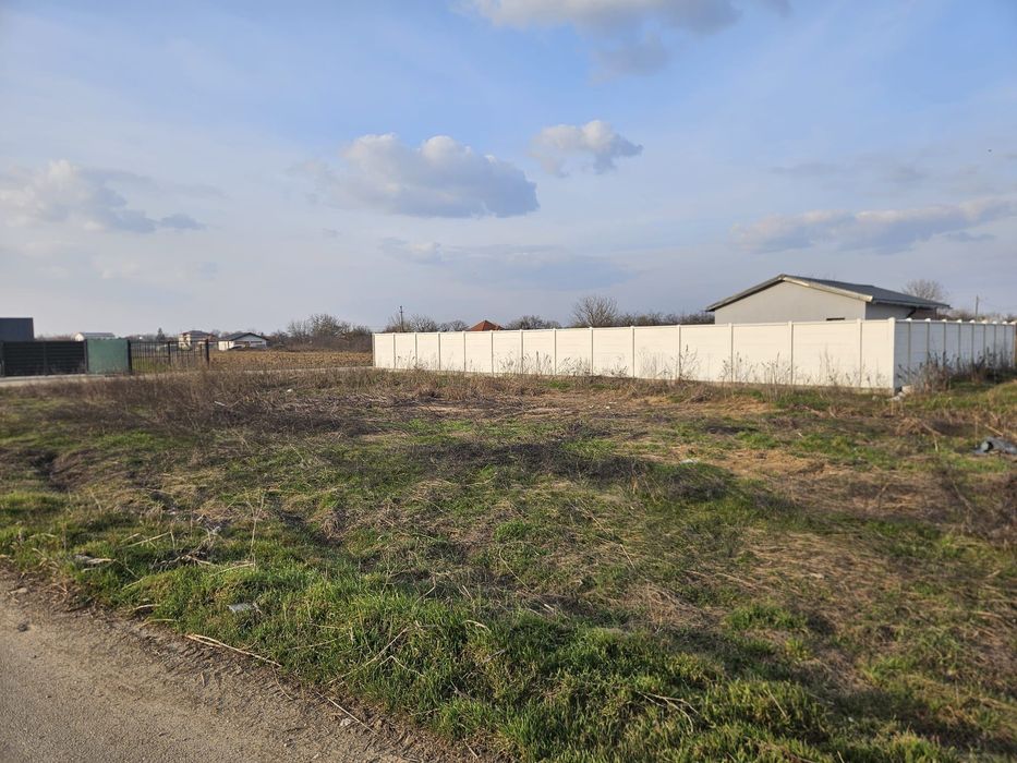 Teren intravilan Varlaam Regatul Cailor Adunatii Copaceni Giurgiu