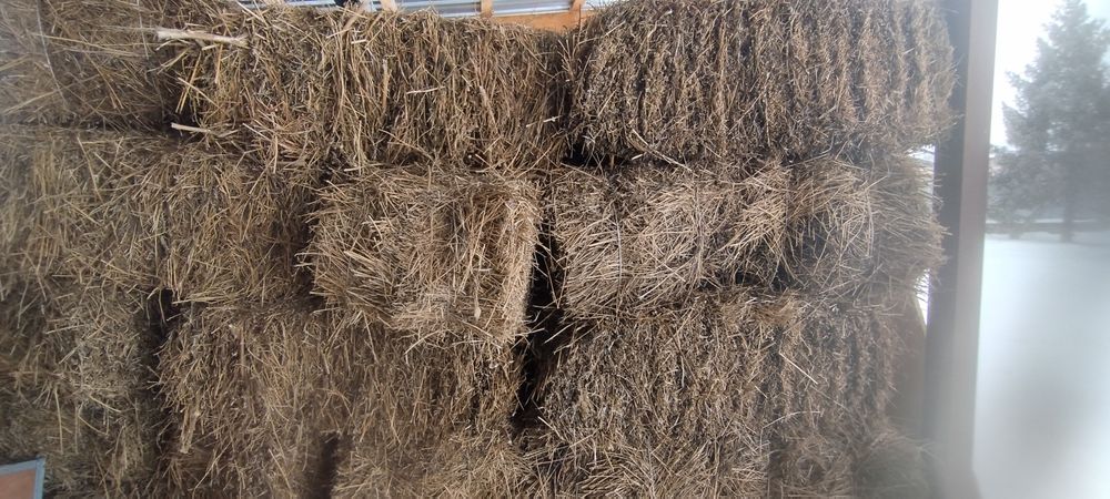 Түктелген жоңышқа/люцерна сатылады