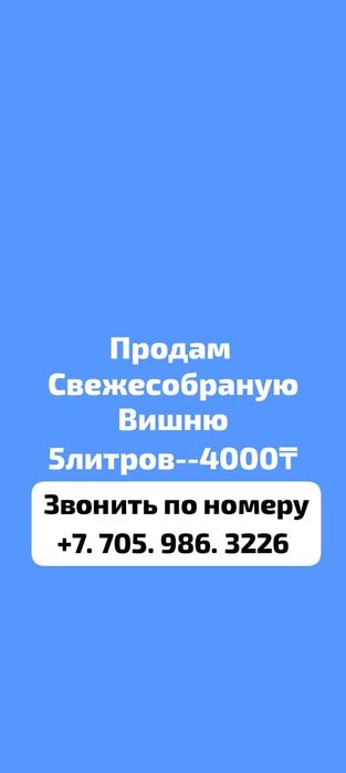 Продам свежесобранную вишню