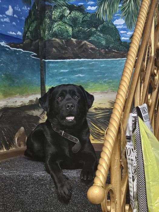 Мальчик для связки!