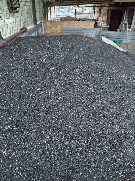 Vând floarea-soarelui