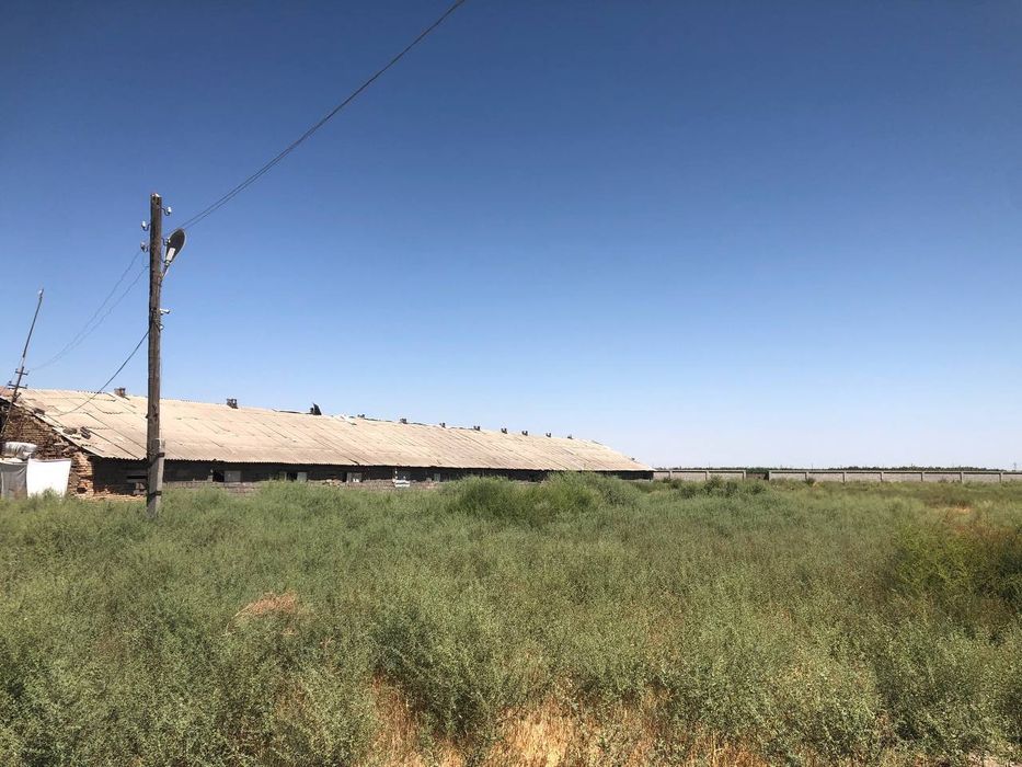 Tayyor ferma sotiladi