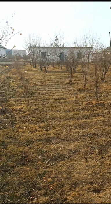 Xovlilik uy sotiladi zudlik bilan