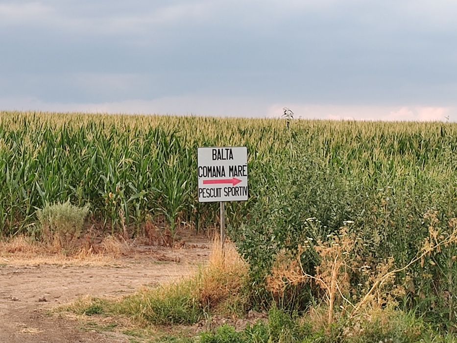 Vand teren extravilan Ialomita