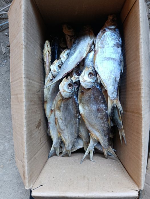 Рыба сушенная вяленная