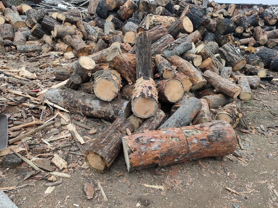 Дрова сосна сухие береза